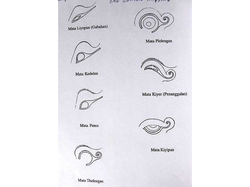 eye types